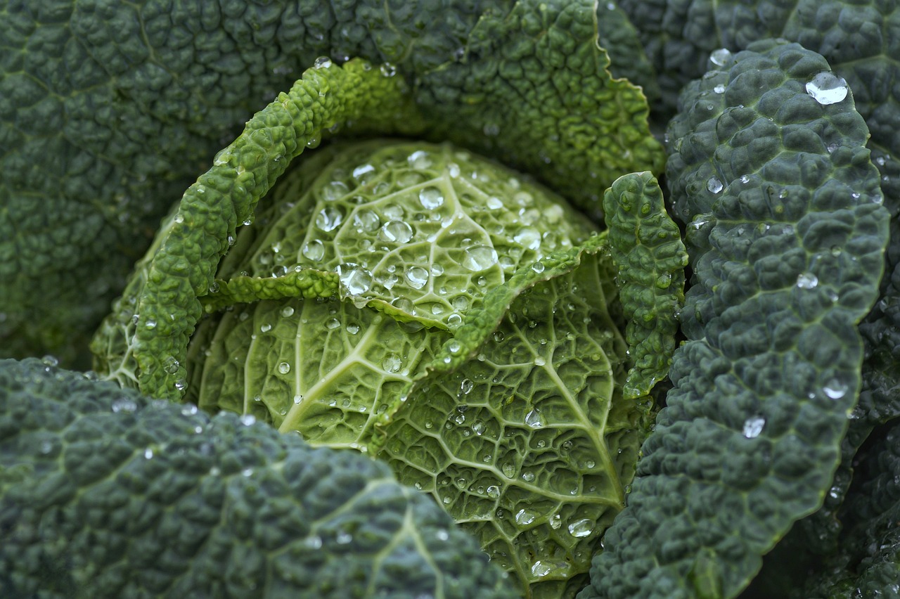 Jakie są korzyści płynące z jedzenia warzyw strączkowych?