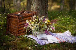 Co zabrać na piknik rodzinny? – Praktyczna lista rzeczy do zabrania